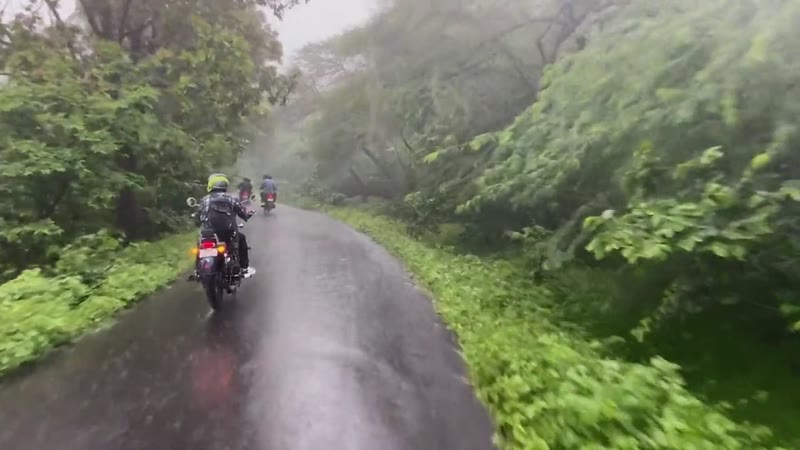 Polo Forest Bike Ride