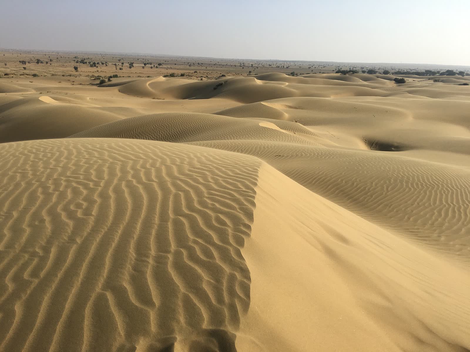 Jaisalmer